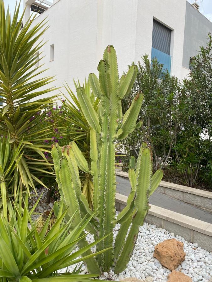 Oasis Beach Apartments Alicante Dış mekan fotoğraf