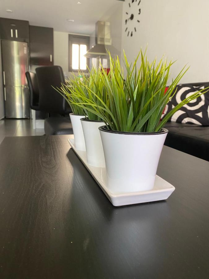 Oasis Beach Apartments Alicante Dış mekan fotoğraf