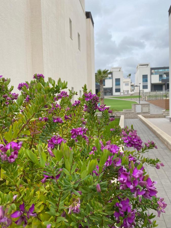 Oasis Beach Apartments Alicante Dış mekan fotoğraf